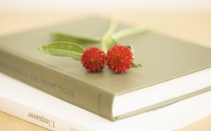Little Flowers on Books