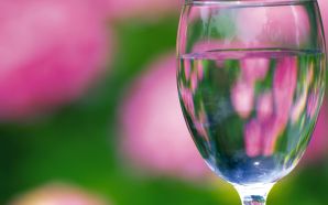Wine Glass In Front Of Flower