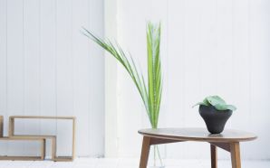 Design home interior greenery
