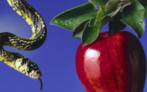 apple and snake