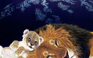 Lion Baby wallpaper