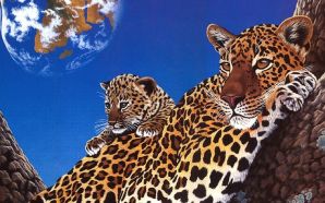 Leopards Planet