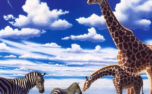 Zebra and Giraffes