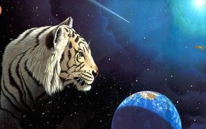 Tiger & Space