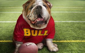 Funny Doggy Football Time
