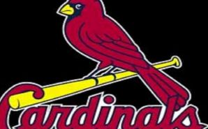 Cardinals birds - Framed Cardinals logo