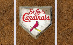 Cardinals birds - St louis Cardinals Baseball