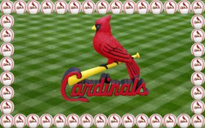 Cardinals birds - St Louis Cardinals