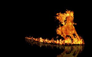 Horse wallpaper - fire horse