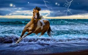 Horse wallpaper - South Wind On Thunder Day