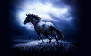 Horse wallpaper - night horse