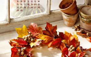 2009 November calendar