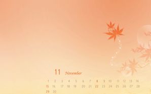 2009 November calendar