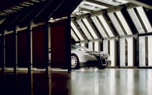 Bugatti Veyron hide