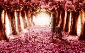 Flower Path