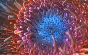 Digital Anemone Flower